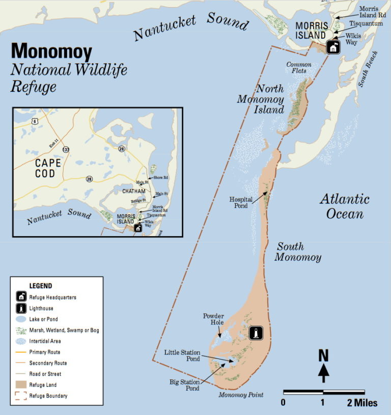 Monomoy Island Sportfishing - Cape Cod – Beats Workin'